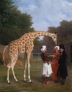 Jacques-Laurent Agasse The Nuian Giraffe (mk25) China oil painting reproduction